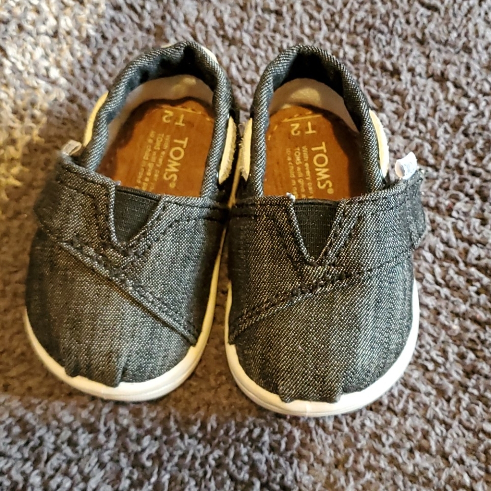 Baby toms - Picture 2 of 4